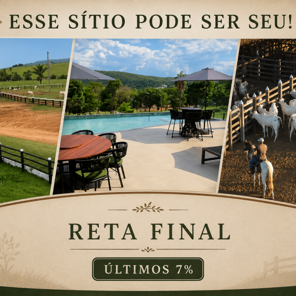 🏘️💰SÍTIO 100 HECTARES+300 GADOS+PLANTAÇÃO SOJA OU 2 MILHÔES EM DINHEIRO 🏘️💰